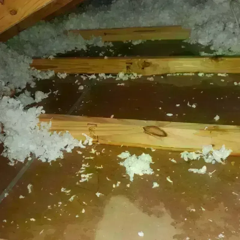 Attic Water Damage in Chualar, CA